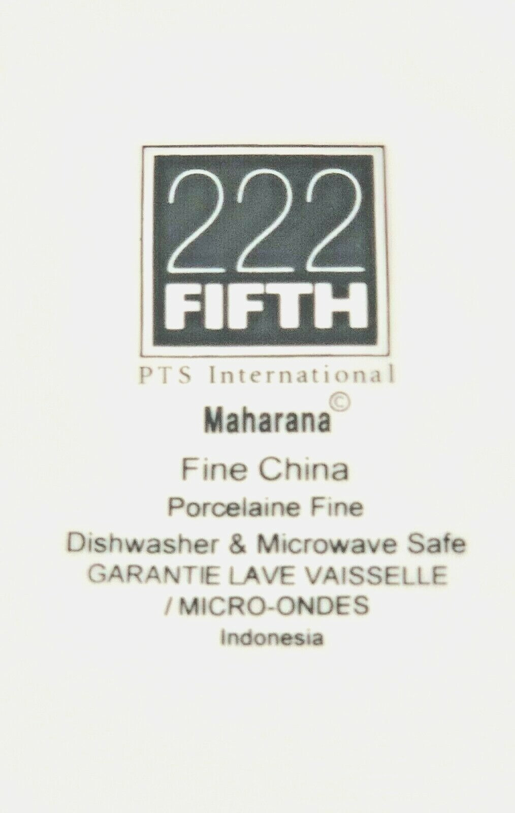 222 Fifth "MAHARANA" Fine Porcelain PTS Intl. Dinnerware Collection (Paisley)