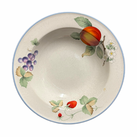 Savoir Vivre Luscious Fruit Rim Soup Bowls Set 4 Japan JJ017 8 1/8”D