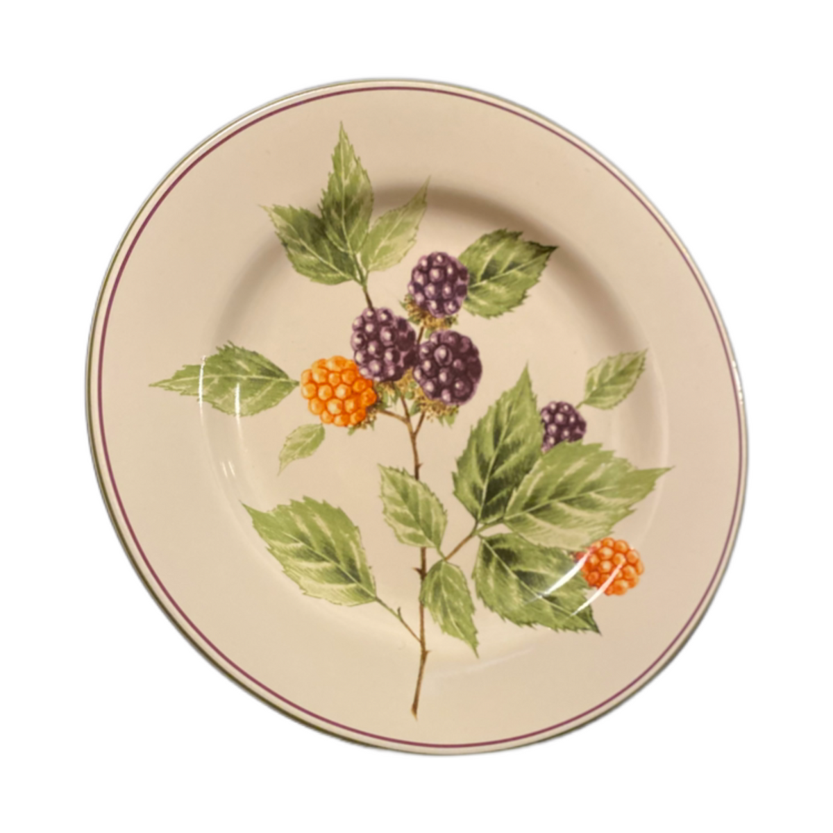 Oneida Sakura BERRY FIELDS Salad Dessert Plate Black Orange berries Stoneware