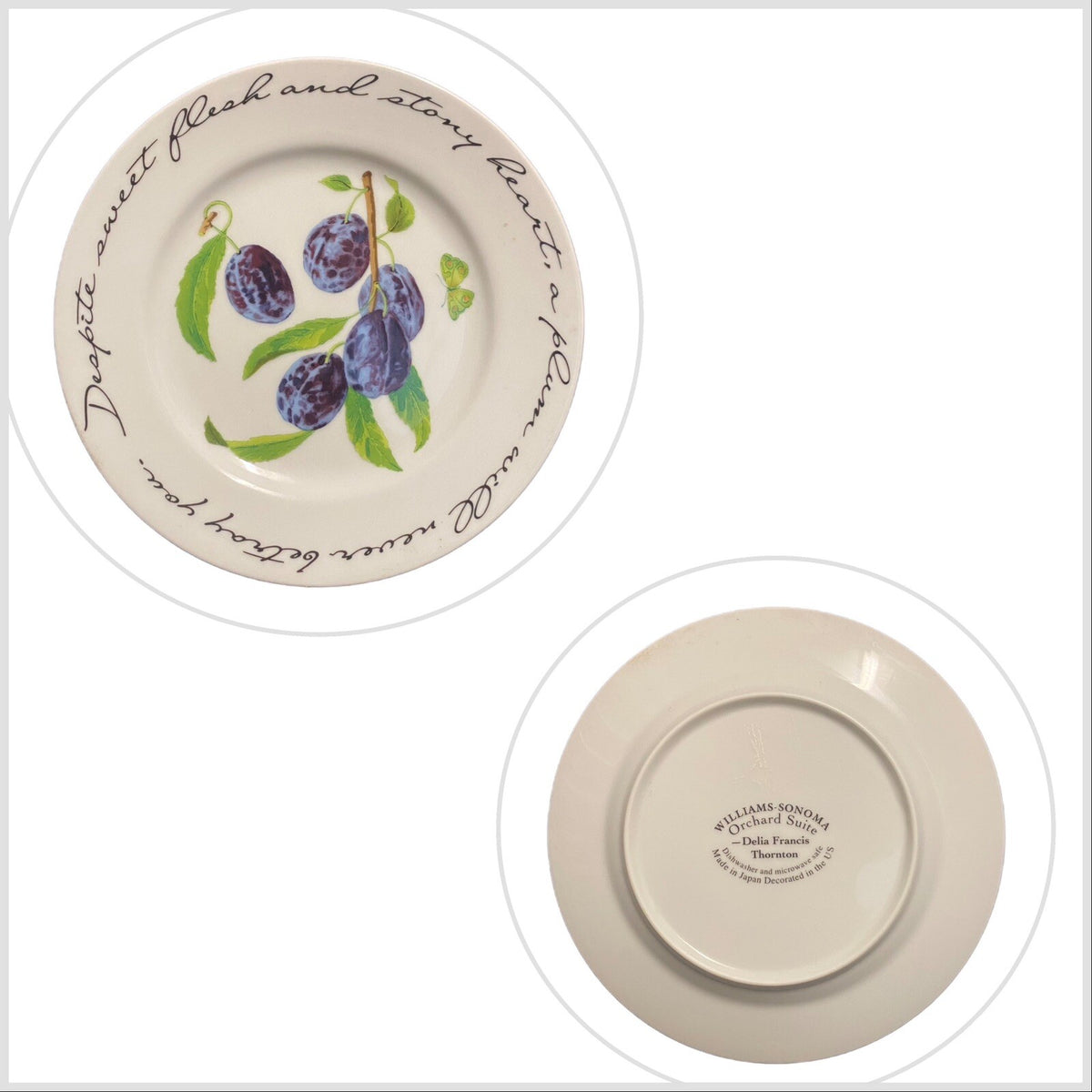 Williams Sonoma 4 Salad Plates ORCHARD SUITE Fruit Dessert Ceramic Japan 7 3/4”D