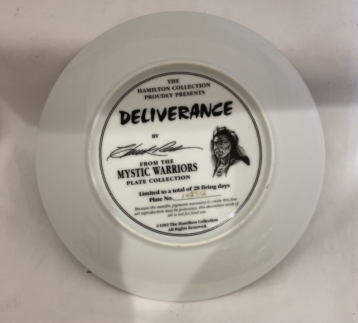 Deliverance Mystic Warriors Chuck Ren Native American Hamilton Collection c1992