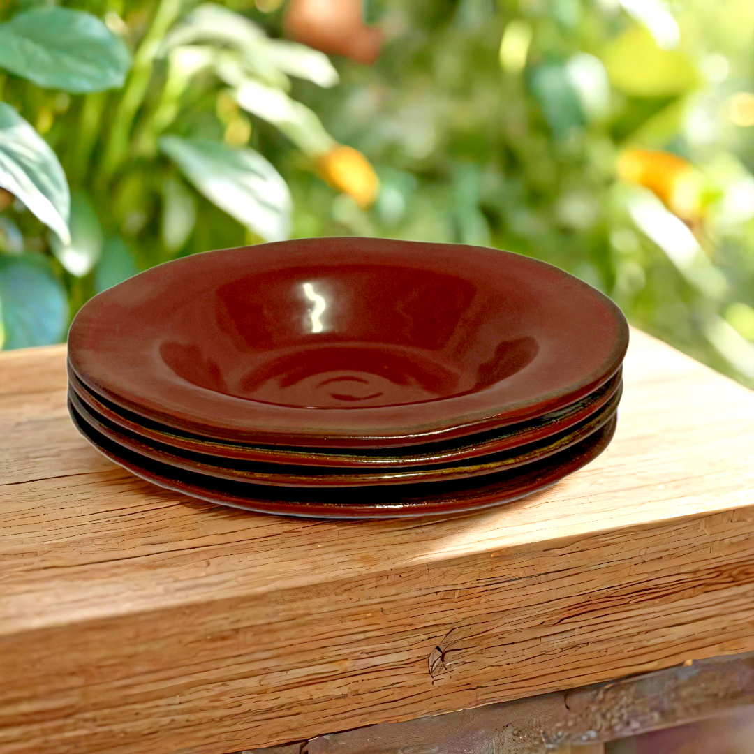 Set of 4 Gourmet Expressions Stoneage Cinnamon Rim Soup Bowls 9.75” Rustic