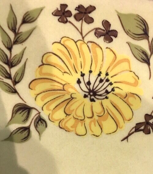 Taylor Smith & Taylor Indian Summer Platter 13” & Vegetable Bowl 10” USA Set