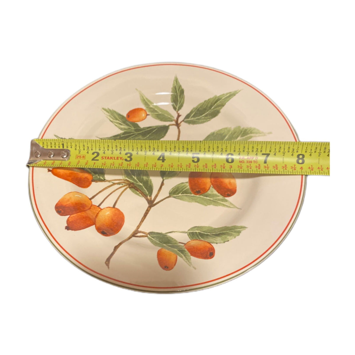 Oneida Sakura BERRY FIELDS Salad Dessert Plate Bright Orange Berries Stoneware