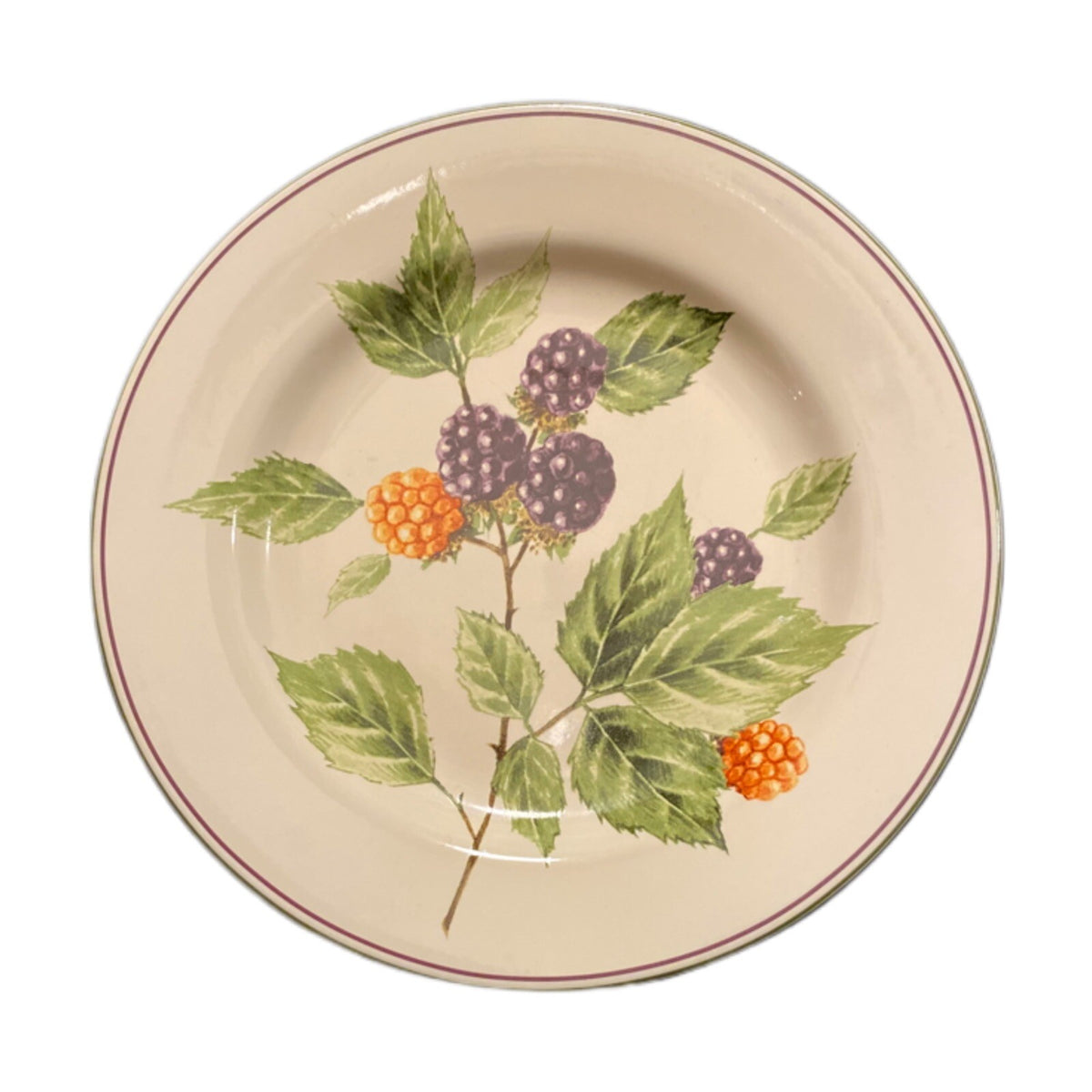 Oneida Sakura BERRY FIELDS Salad Dessert Plate Black Orange berries Stoneware