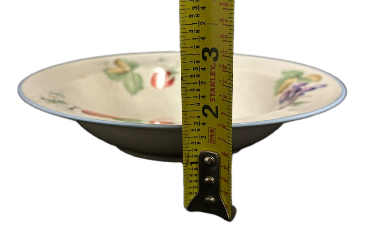 Savoir Vivre Luscious Fruit Rim Soup Bowls Set 4 Japan JJ017 8 1/8”D