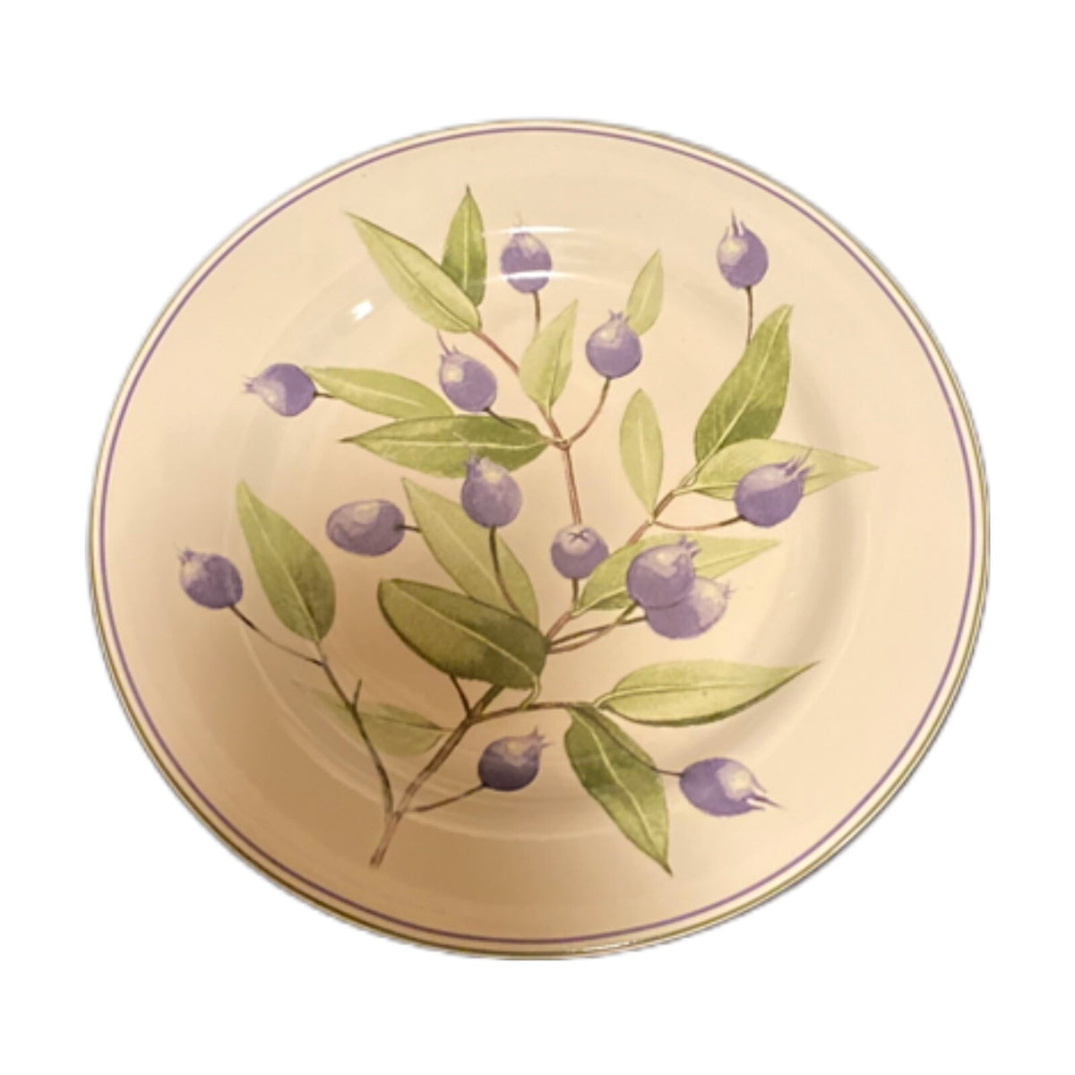 Oneida Sakura BERRY FIELDS Salad Dessert Plates Stoneware Blueberries Branch