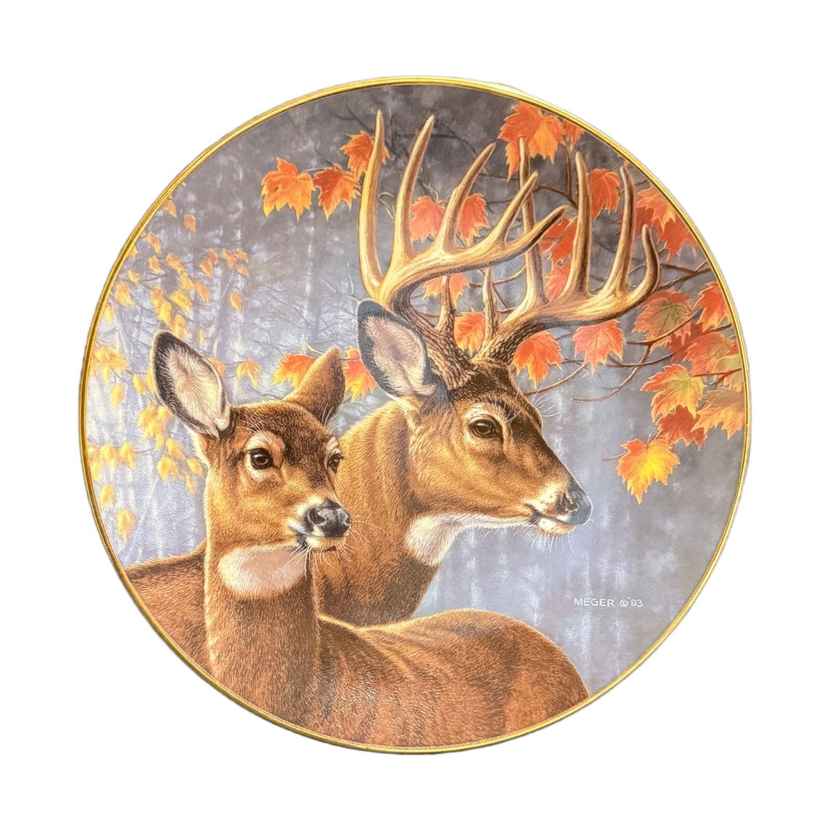 The Hamilton Collection Plate Interlude PORTRAIT OF THE WILD 1993 James A Meger