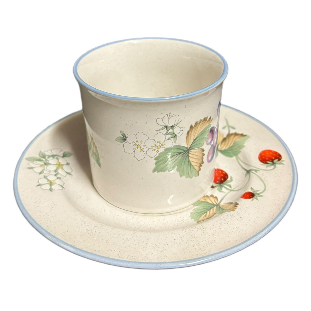 Savoir Vivre LUSCIOUS 4-Cups 4-Saucers Japan JJ017 Oven To Table Coffee Tea