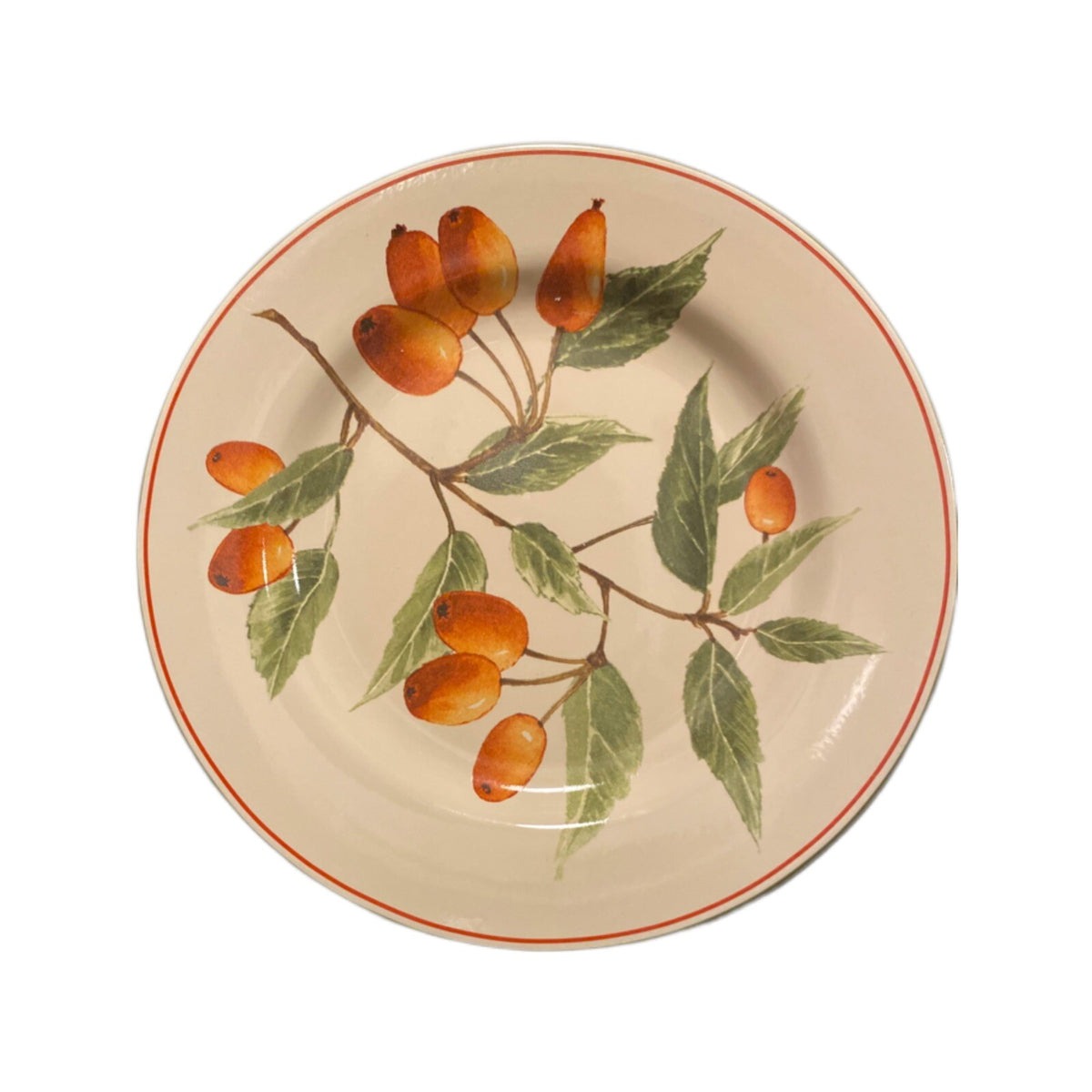 Oneida Sakura BERRY FIELDS Salad Dessert Plate Bright Orange Berries Stoneware