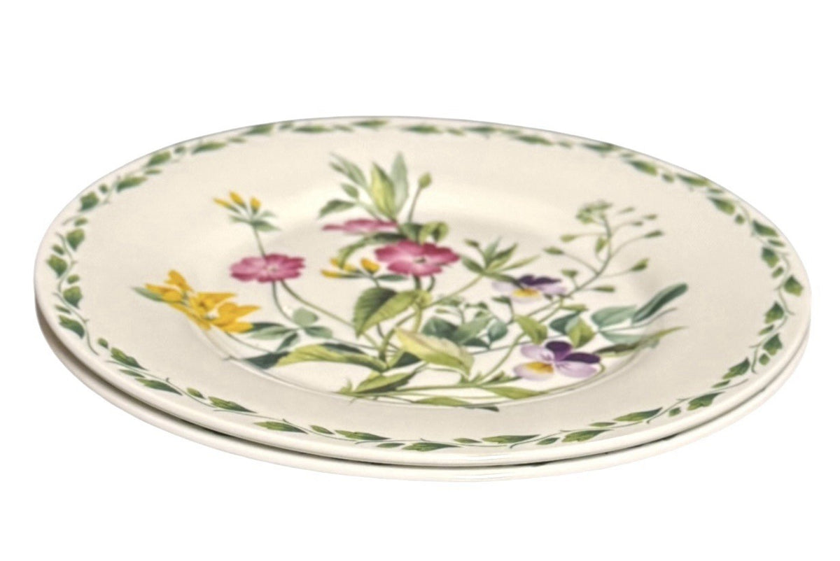 Set of 2 Queen’s Churchill The Garden Salad Plates RHS England Floral Design