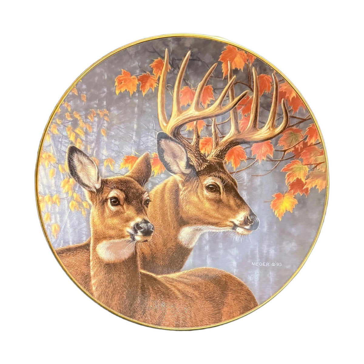The Hamilton Collection Plate Interlude PORTRAIT OF THE WILD 1993 James A Meger