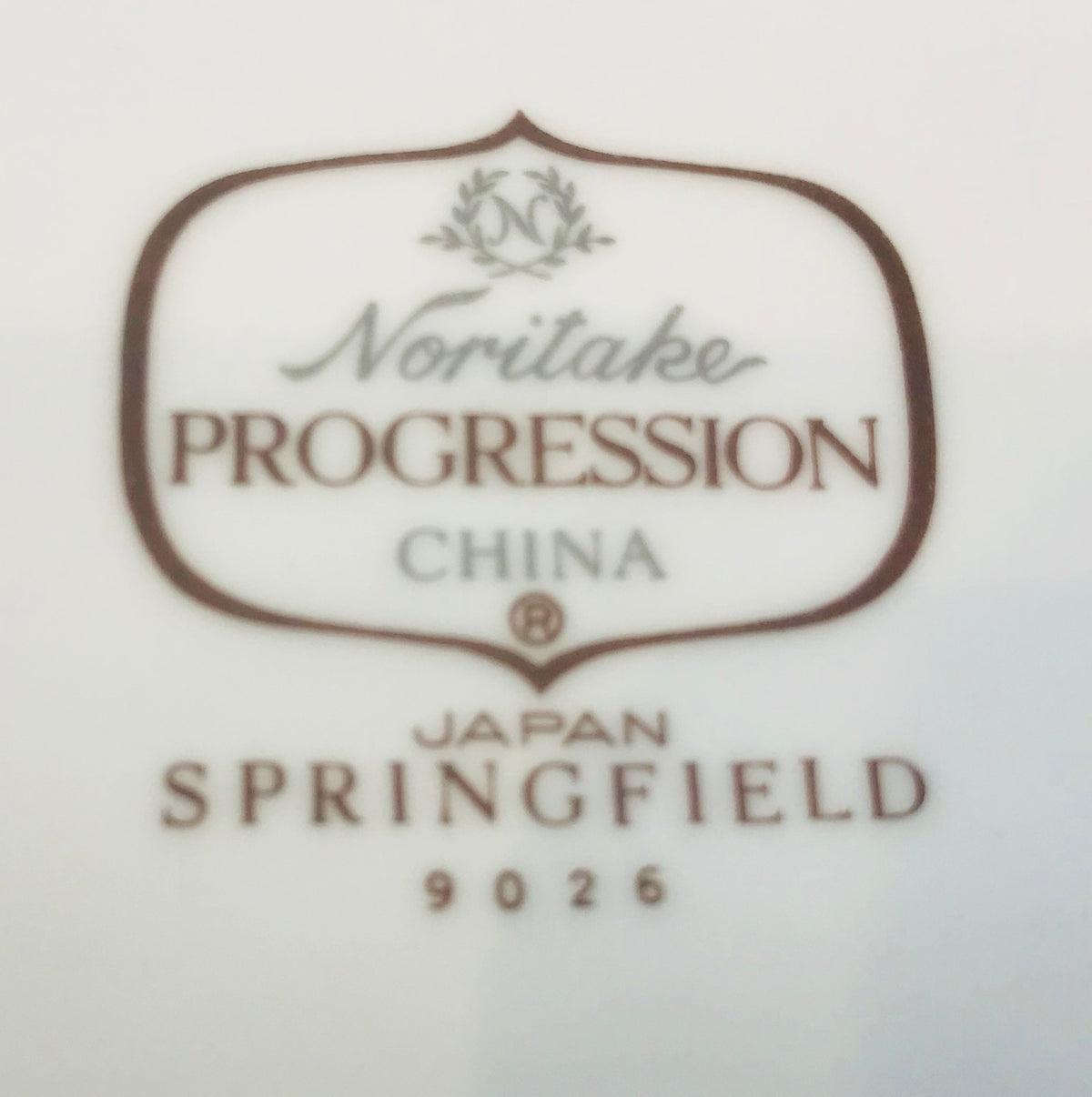 Vintage Noritake "SPRINGFIELD" Japan 9026 Ceramic Collection (Progression)