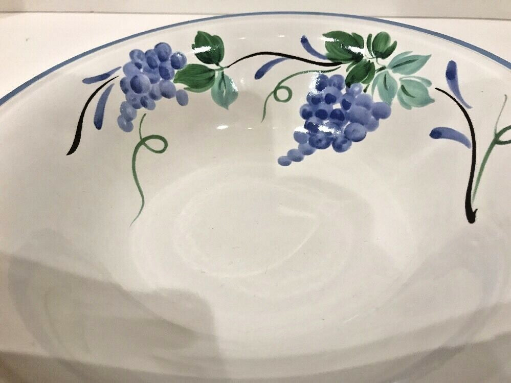 Savoir Vivre VINEYARD Dinnerware Japan Collection Oven To Table JF031 