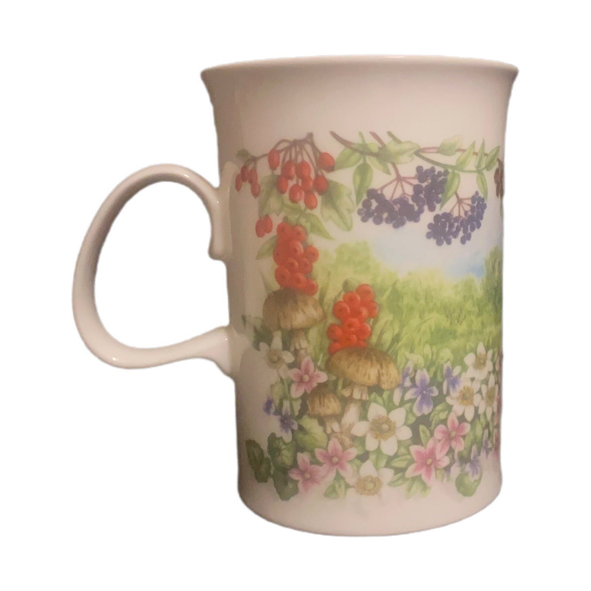 Dunoon Hedgerow Mug Elderberries Bone Fruits China England  JANE FERN Design Tea