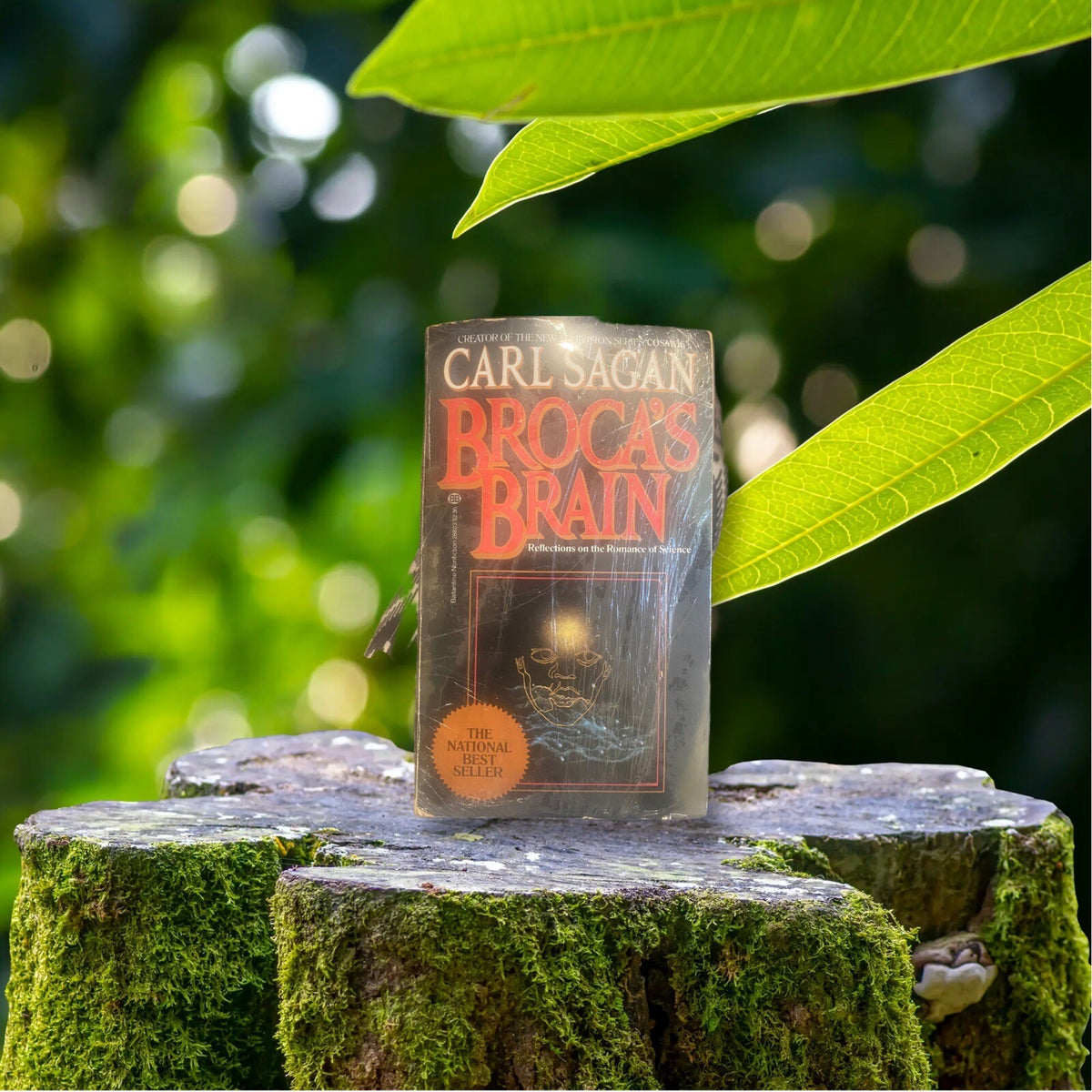 Broca's Brain Mass Market Paperbound Carl Sagan