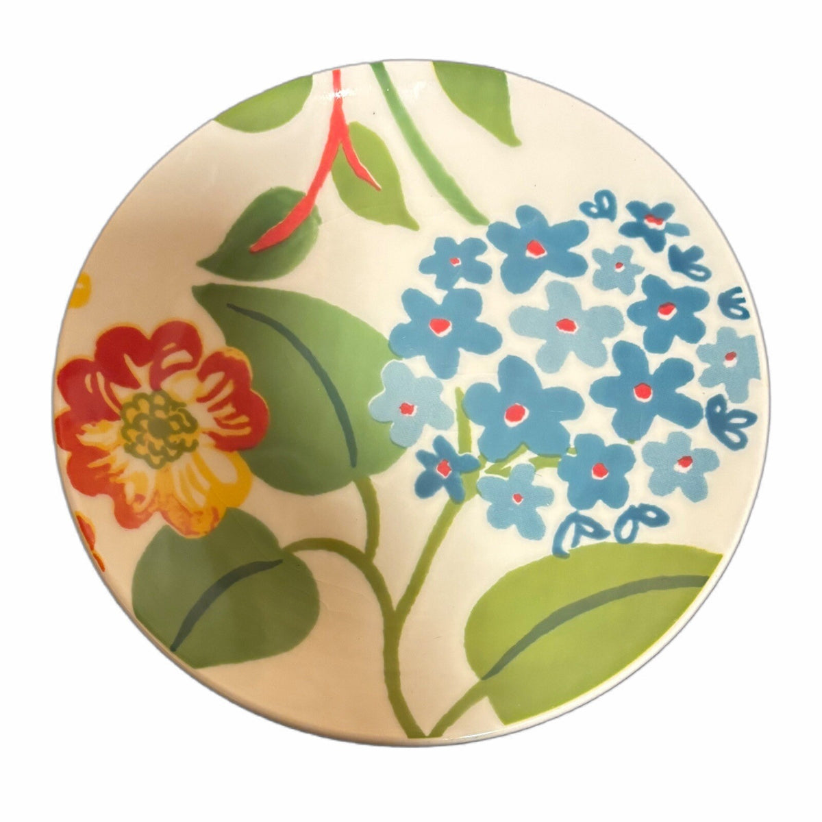 Pottery Barn 6-Salad Plates GRAPHIC GARDEN Brazil Ceramic Dessert Appetizer Dish