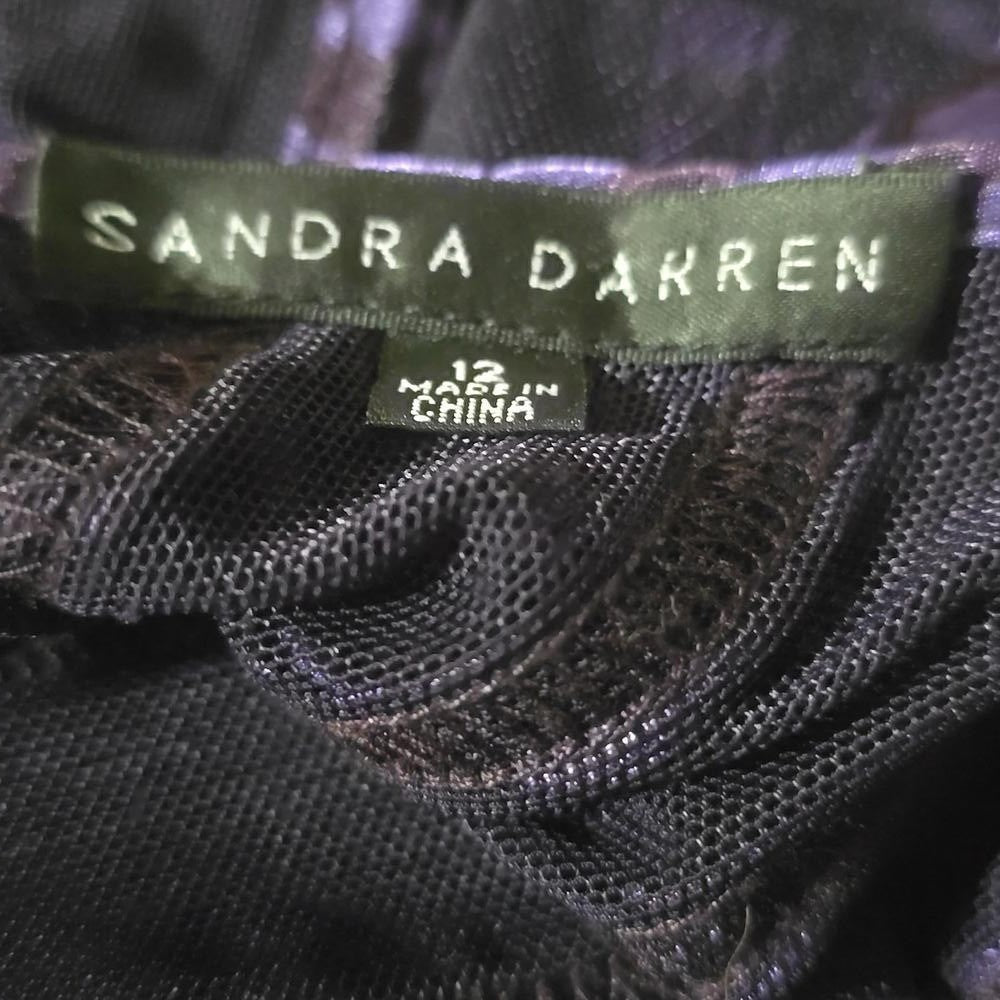 Sandra Darren Vintage Inspired Purple Sheer Maxi Dress  Boho Chic Size 12