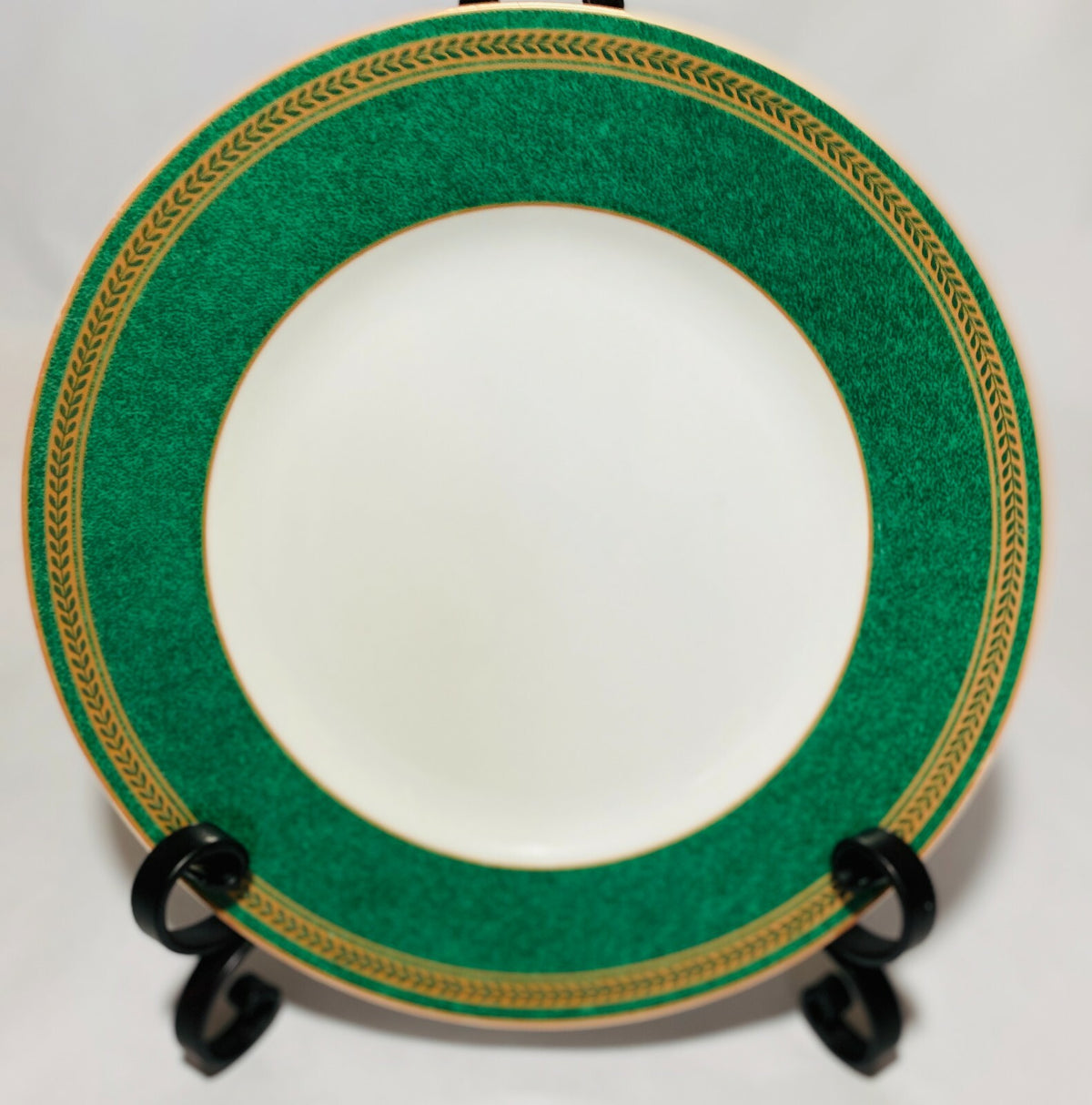 Coventry "Anniston Green" Dinnerware Collection Fine Porcelain PTS International