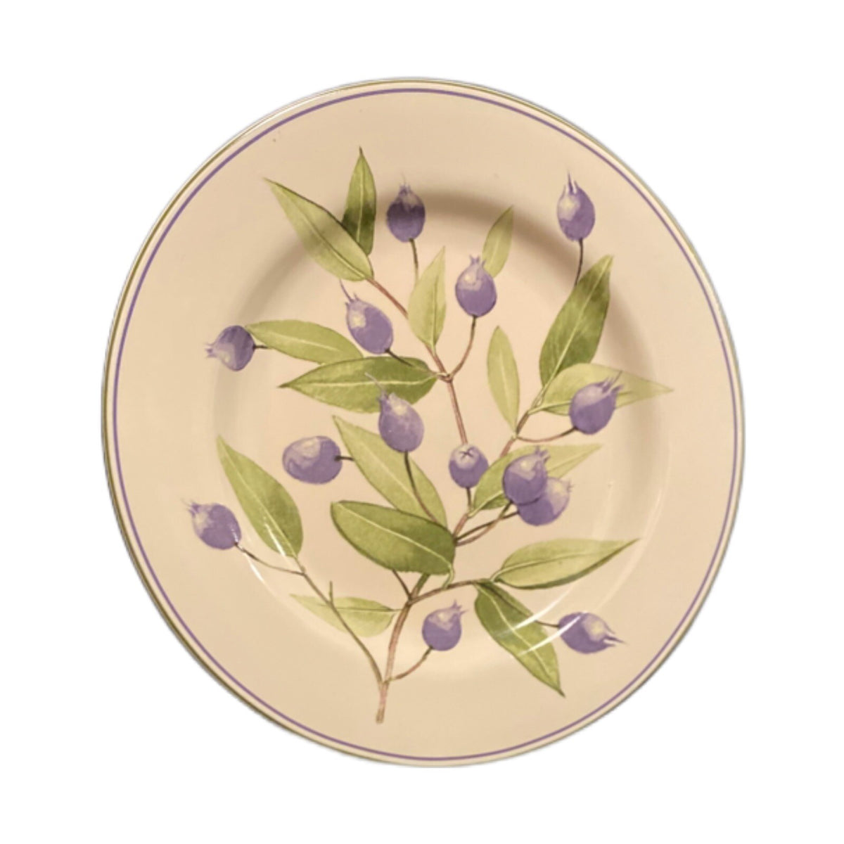 Oneida Sakura BERRY FIELDS Salad Dessert Plates Stoneware Blueberries Branch