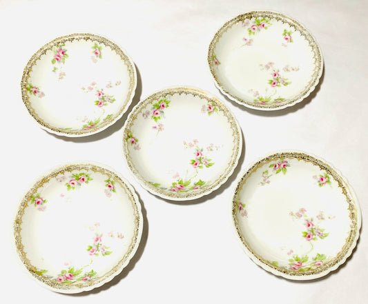 Vintage IMPERIAL PSL OPHELIA Austrian  Dinnerware Collection
