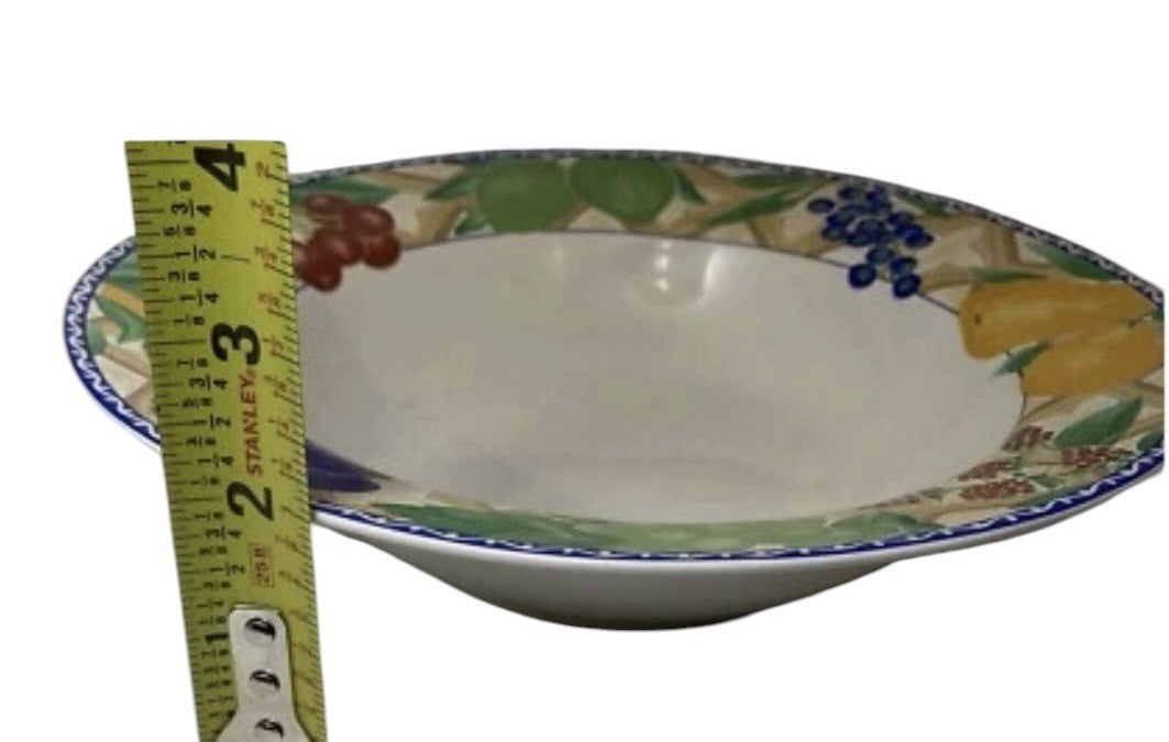 Sango Delight 4869 Set of 6 Rim Soup Pasta Bowls Fruit Border 9.25” Stoneware