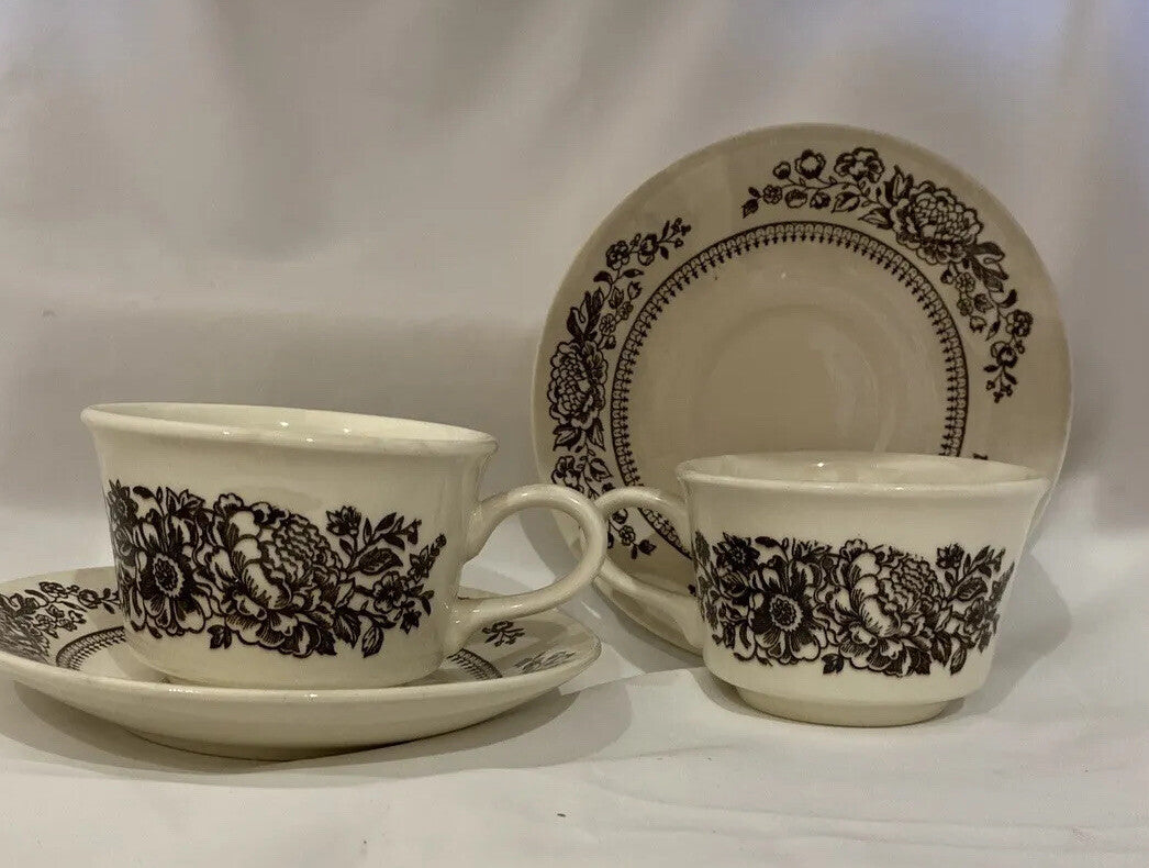 Vintage AUTUMN MIST Royal China Americana 1-Bread 4-Cups 2 Saucers Daisies USA