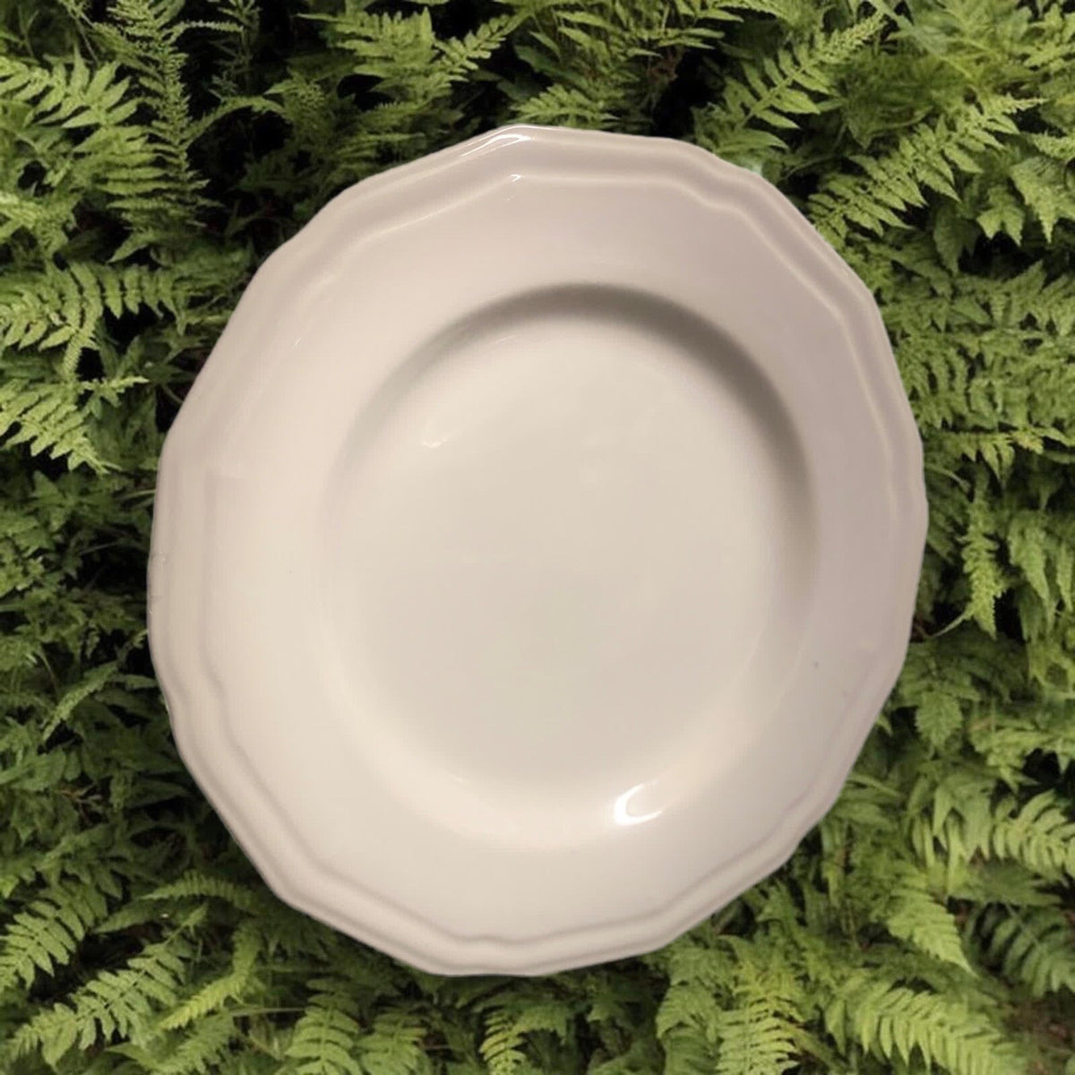 Gibson Designs PLEASANT HILL 6-Salad Plates Scalloped White Dessert Dinnerware