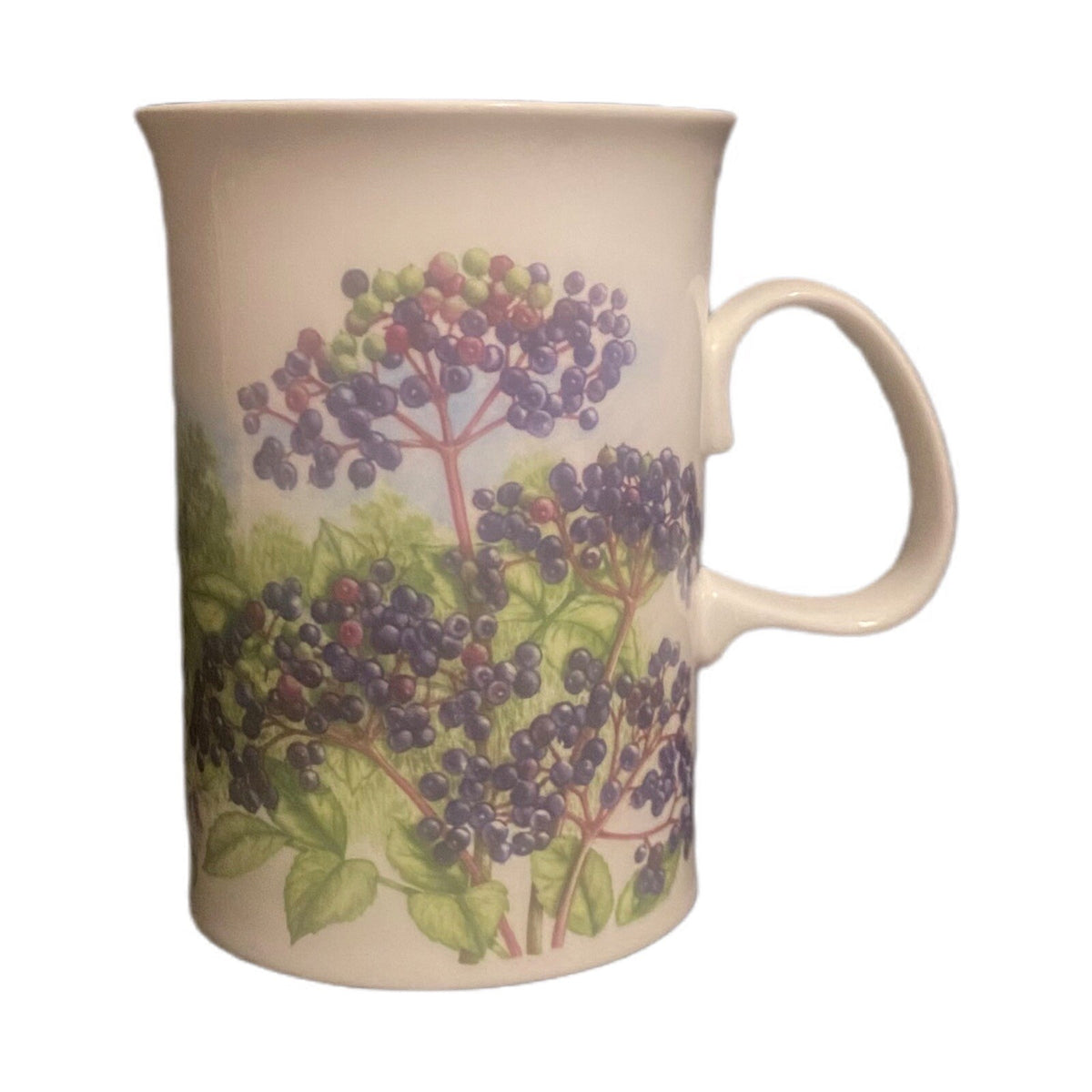 Dunoon Hedgerow Mug Elderberries Bone Fruits China England  JANE FERN Design Tea
