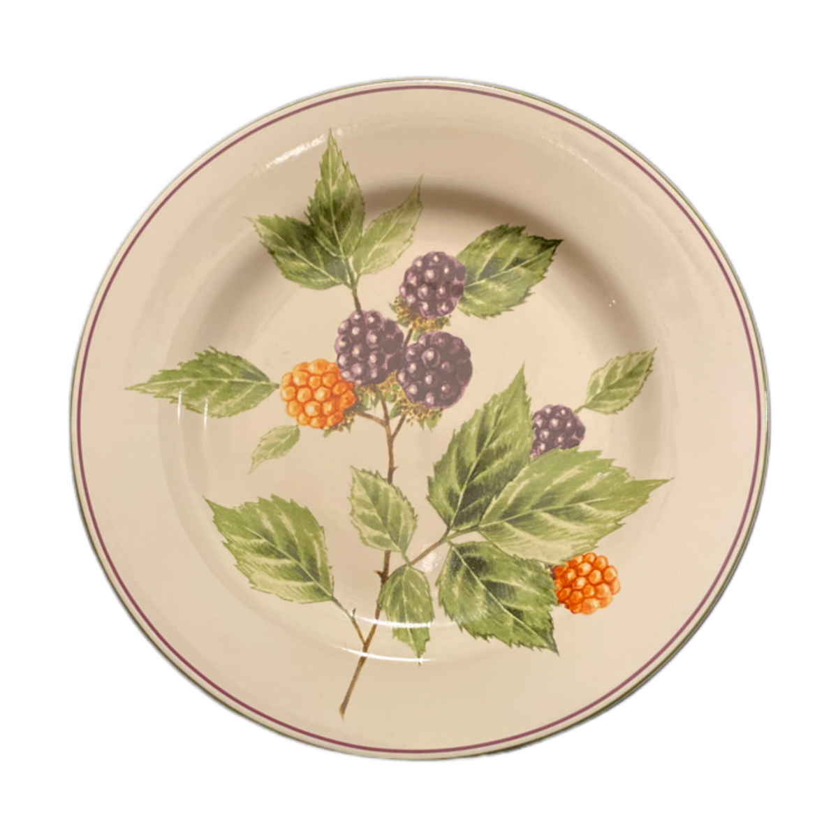 Oneida Sakura BERRY FIELDS Salad Dessert Plate Black Orange berries Stoneware