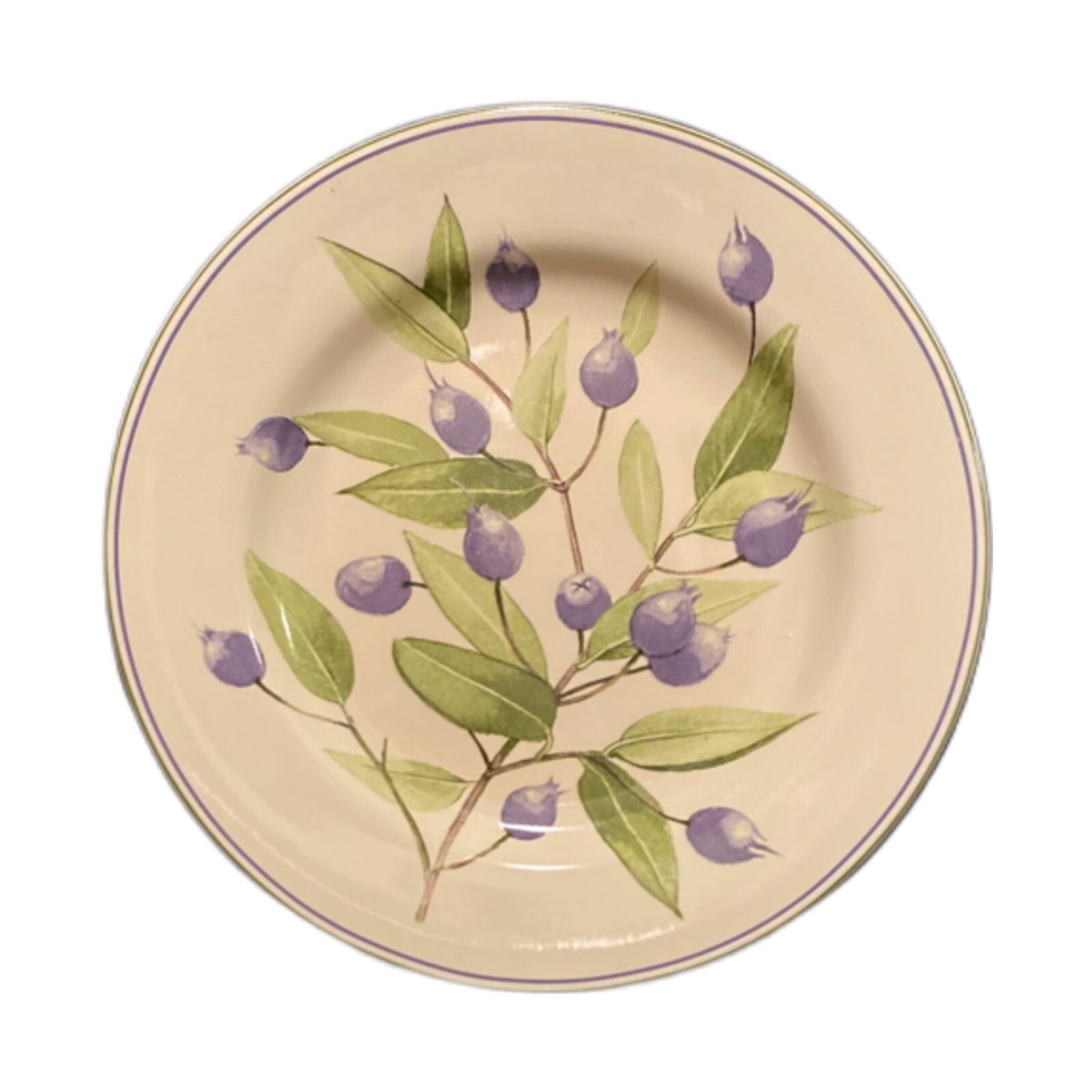 Oneida Sakura BERRY FIELDS Salad Dessert Plates Stoneware Blueberries Branch