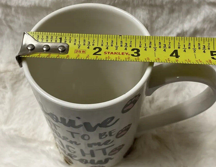 Charming Charlie Tall Mug "You’ve Cat To Be Kidding Me Right Meow” 16 oz Ceramic