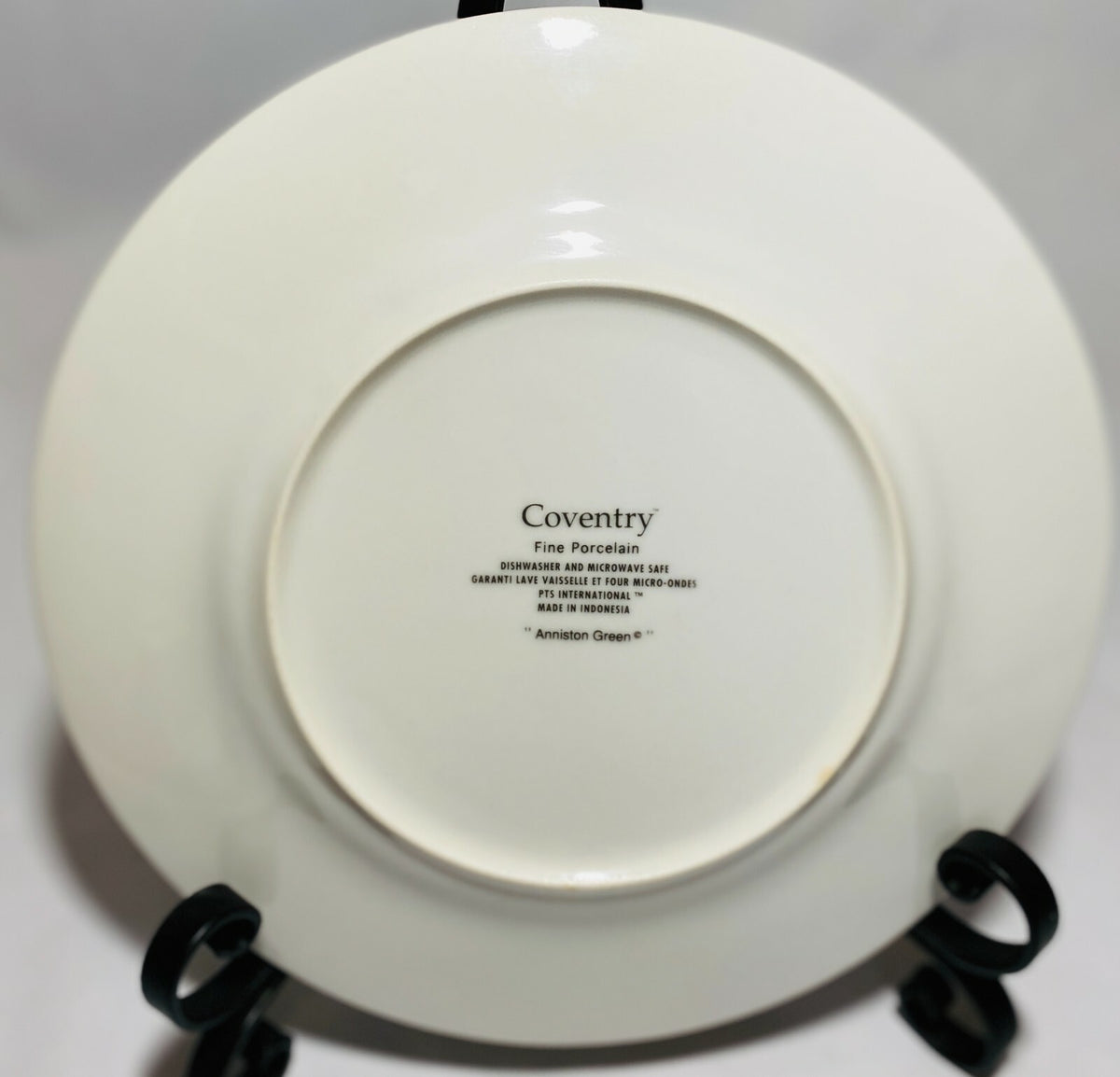 Coventry "Anniston Green" Dinnerware Collection Fine Porcelain PTS International