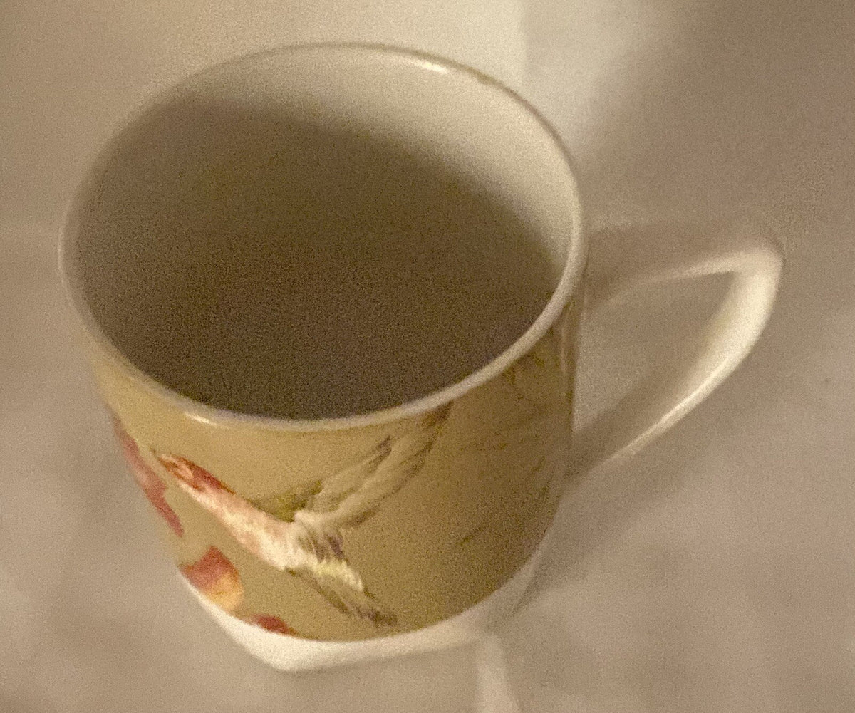 222 Fifth PTS Int’l. “ANTIGUA”  Stoneware Coffee Mug Hummingbird Tea Cup 12 oz
