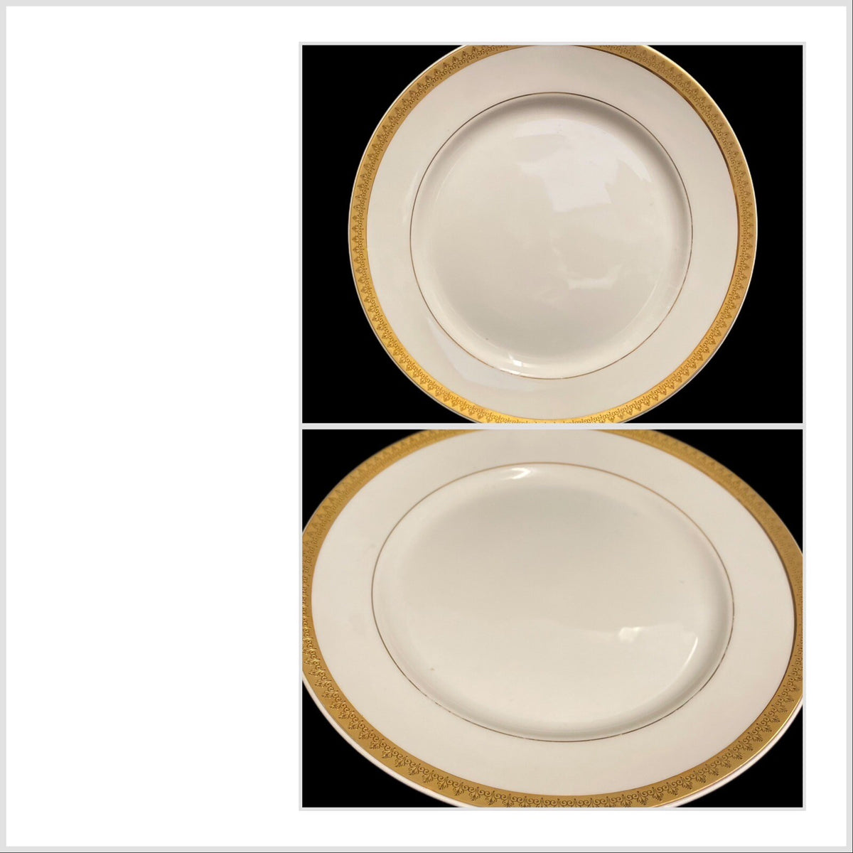 Gabbay QUEEN VICTORIA 6- Dinner Plates Ceramic White Gold Border Trim Dinnerware