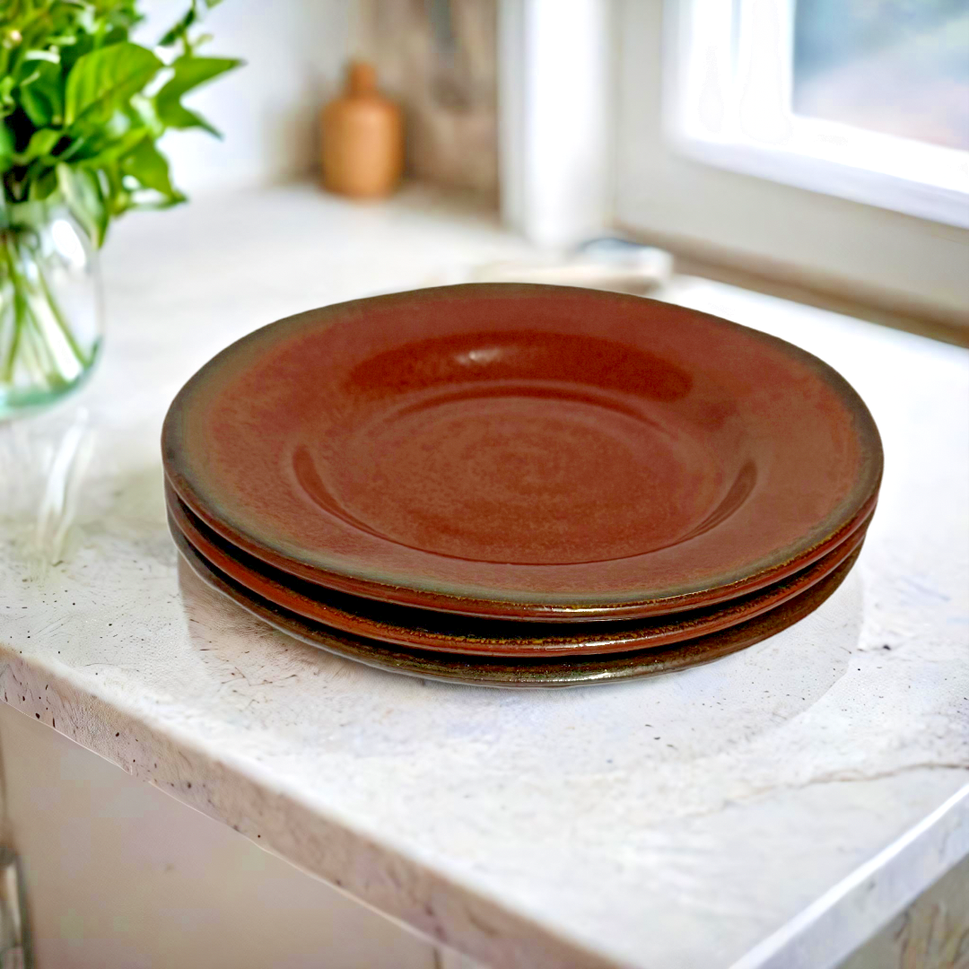 Set of 3 Gourmet Expressions Stoneage Cinnamon Salad Plates 8.1/8” Rustic Brown