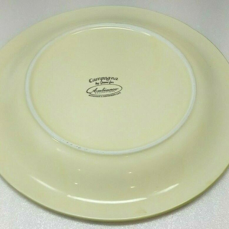 Campagna by Giani for Ambiance Collections Dinner plate 10 1/2” D