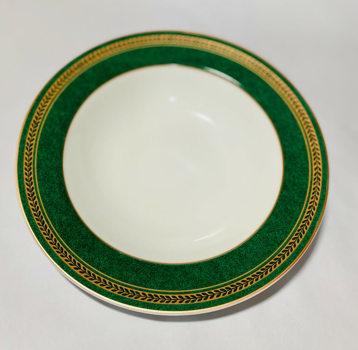 Coventry "Anniston Green" Dinnerware Collection Fine Porcelain PTS International