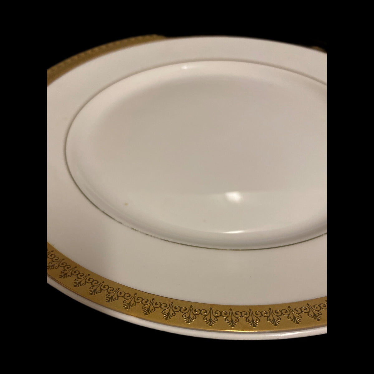 Gabbay QUEEN VICTORIA 6- Dinner Plates Ceramic White Gold Border Trim Dinnerware