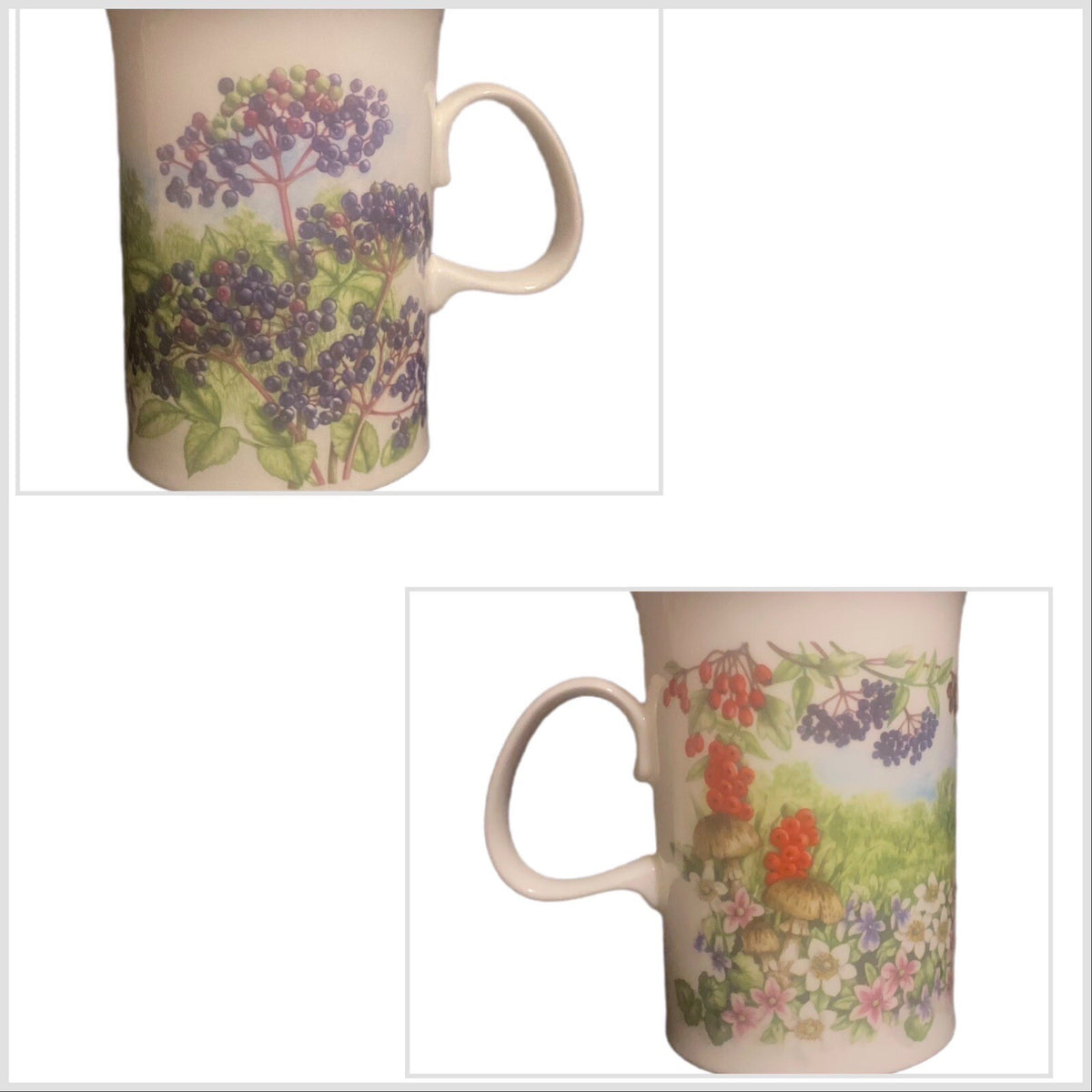 Dunoon Hedgerow Mug Elderberries Bone Fruits China England  JANE FERN Design Tea
