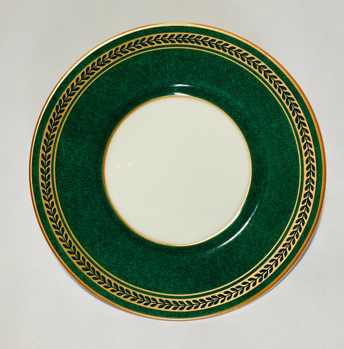 Coventry "Anniston Green" Dinnerware Collection Fine Porcelain PTS International