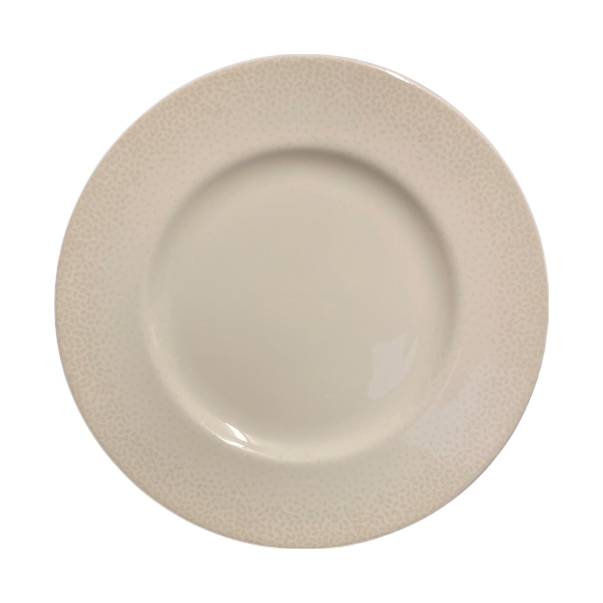 LENOX EFFERVESCENT 2-Dinner Plates Simply Fine Bone China White Chip Resistant