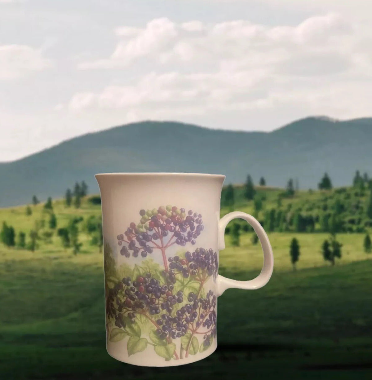 Dunoon Hedgerow Mug Elderberries Bone Fruits China England  JANE FERN Design Tea