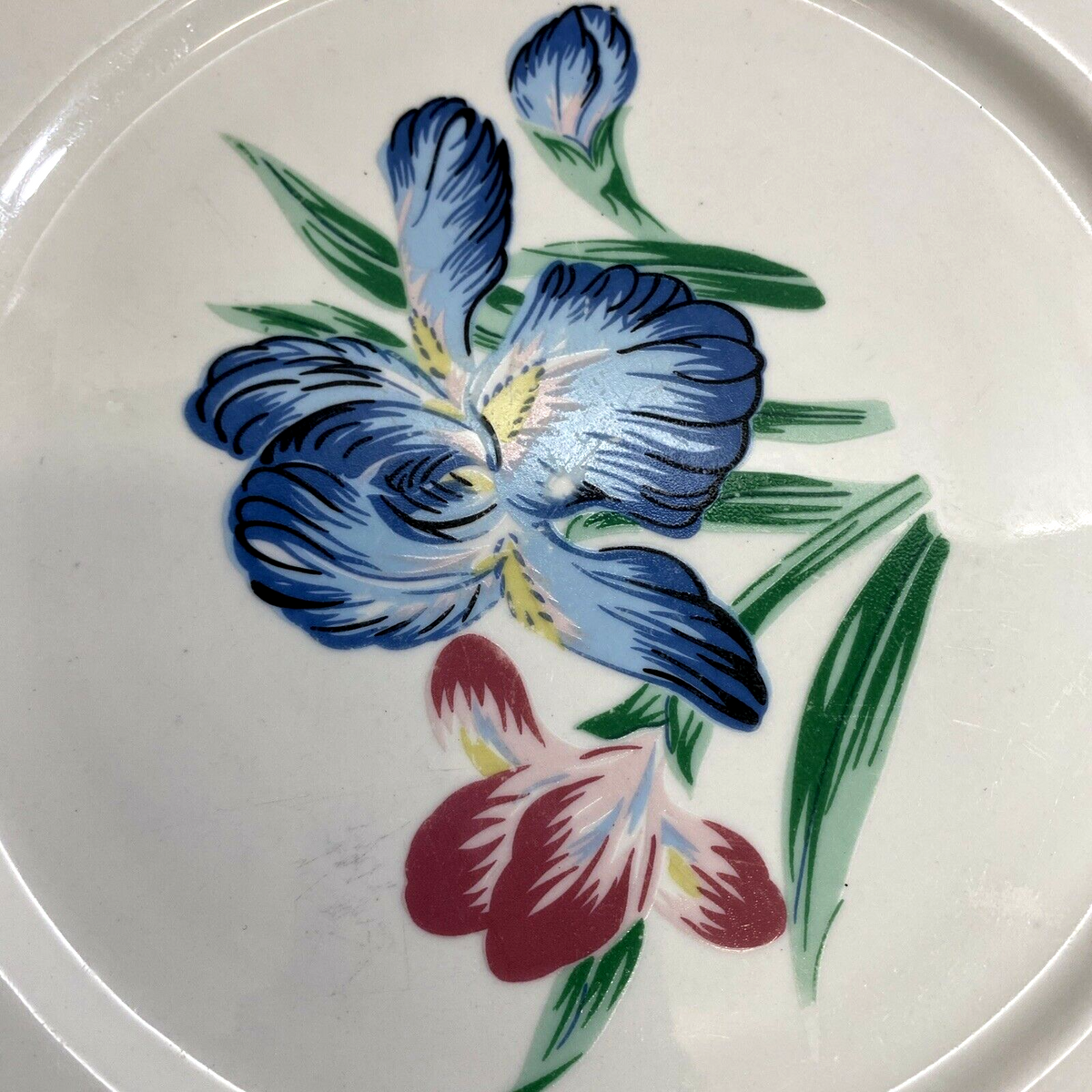 Vintage Tabletops Unlimited Botanica Dinner Plates Set of 5 Iris Floral China