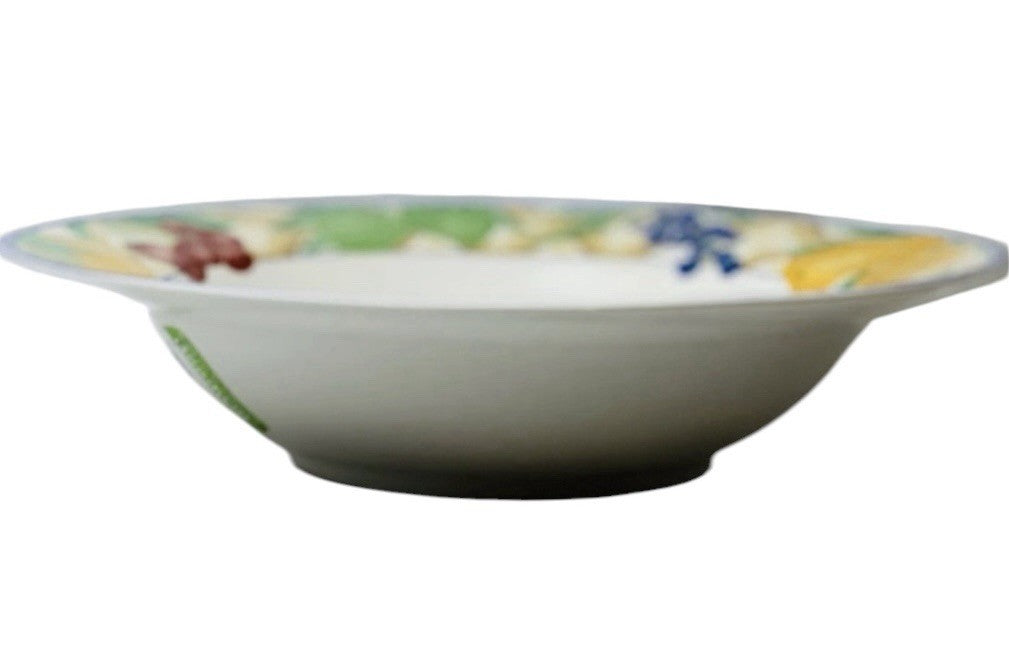 Sango Delight 4869 Set of 6 Rim Soup Pasta Bowls Fruit Border 9.25” Stoneware