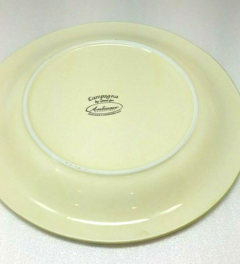 Campagna by Giani for Ambiance Collections Dinner plate 10 1/2” D