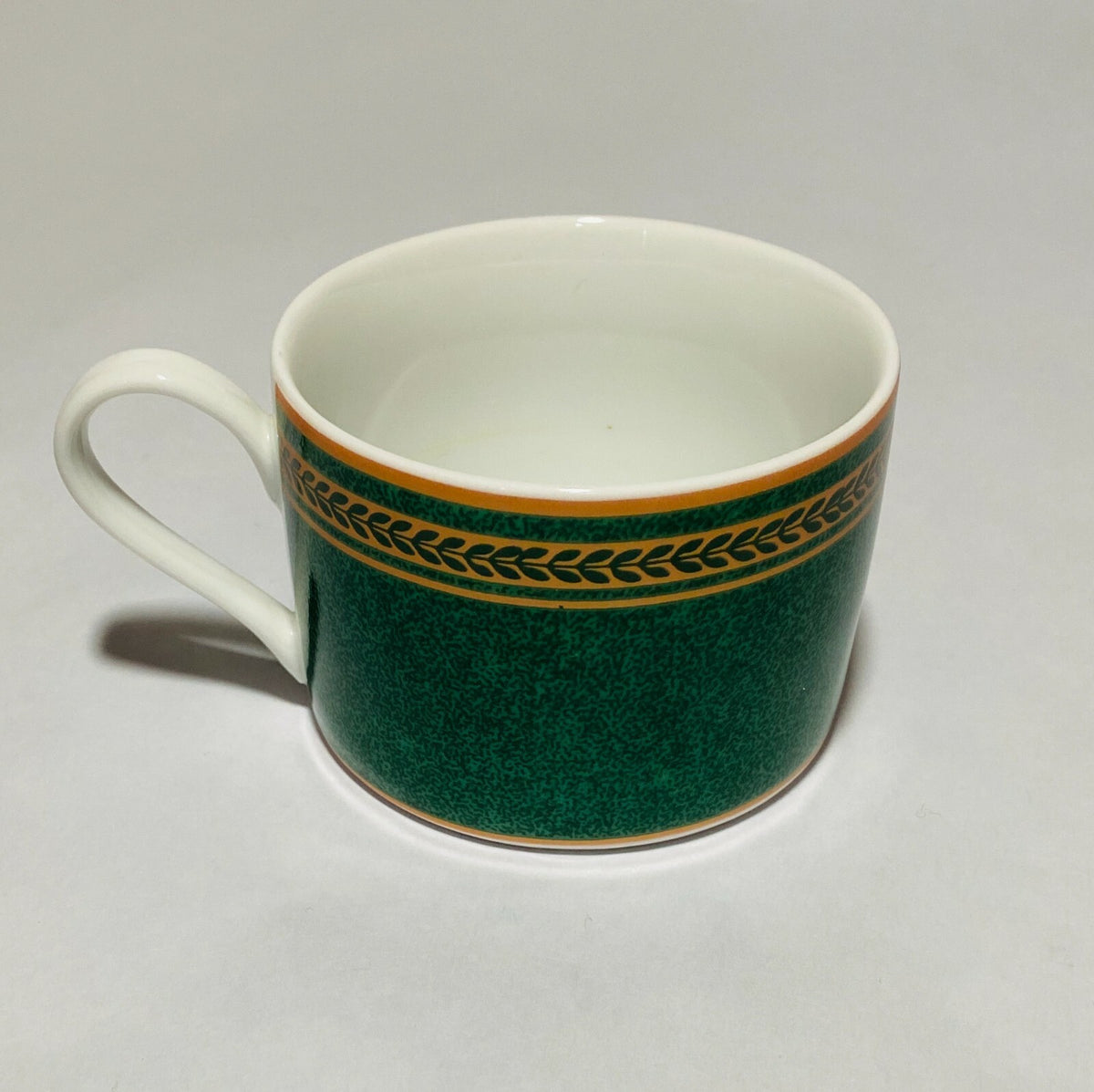 Coventry "Anniston Green" Dinnerware Collection Fine Porcelain PTS International