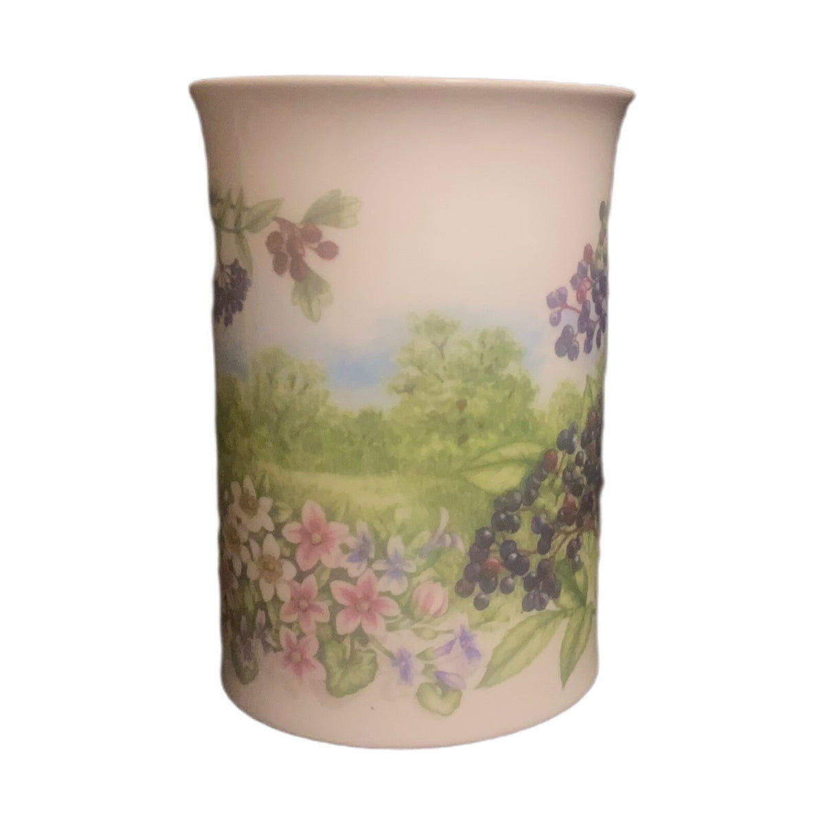 Dunoon Hedgerow Mug Elderberries Bone Fruits China England  JANE FERN Design Tea