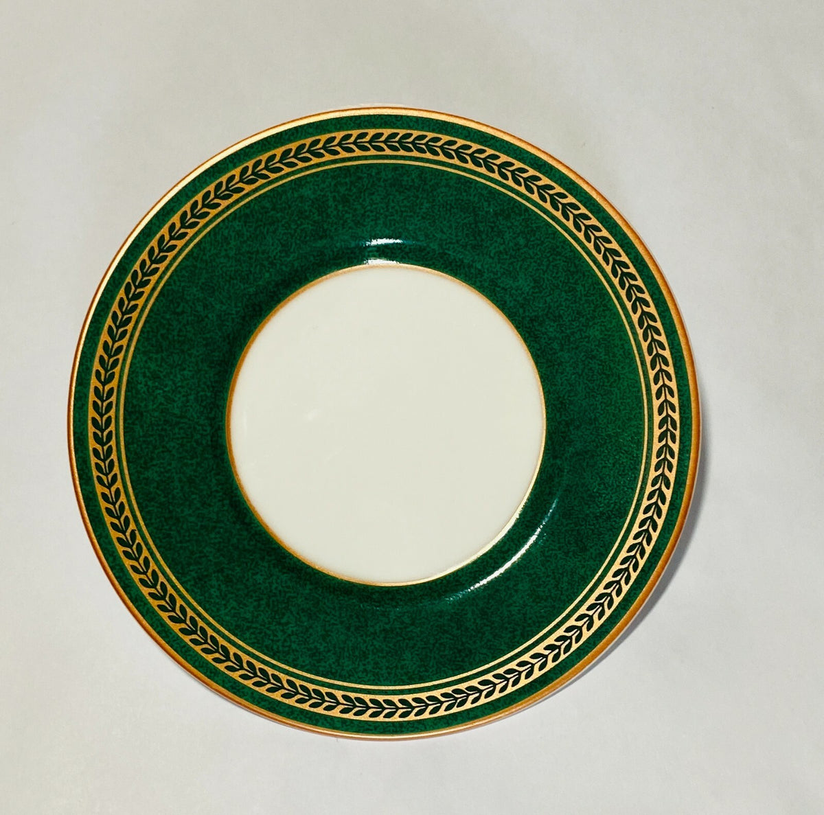 Coventry "Anniston Green" Dinnerware Collection Fine Porcelain PTS International