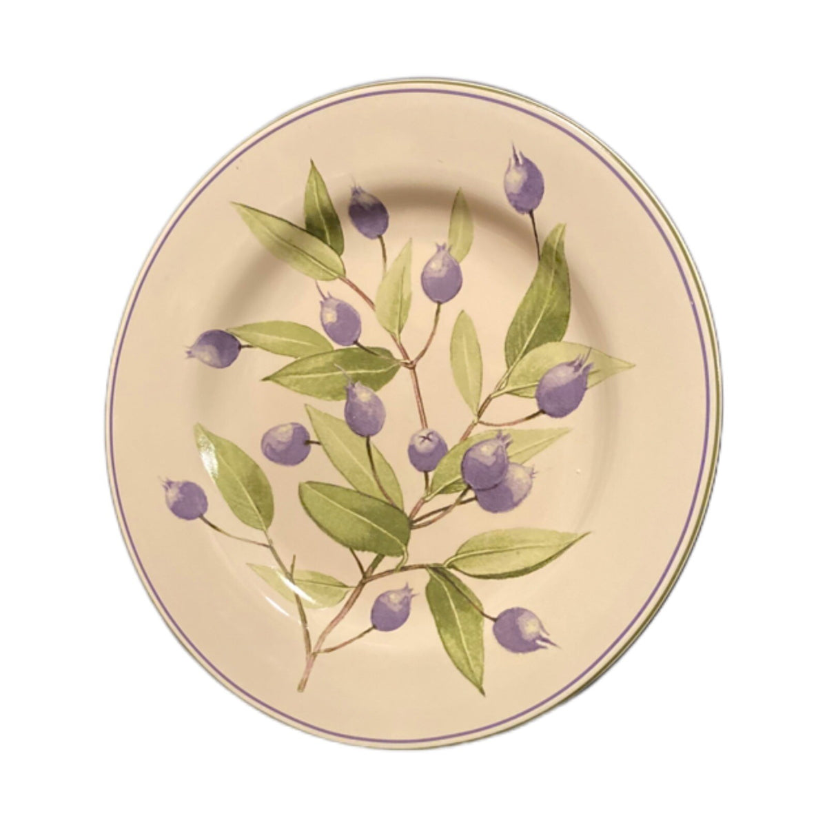 Oneida Sakura BERRY FIELDS Salad Dessert Plates Stoneware Blueberries Branch